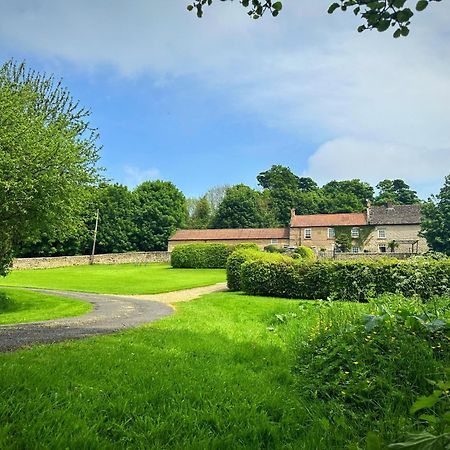 Old Orchard Cottage, Wykeham Scarborough Eksteriør billede