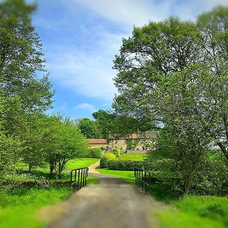 Old Orchard Cottage, Wykeham Scarborough Eksteriør billede