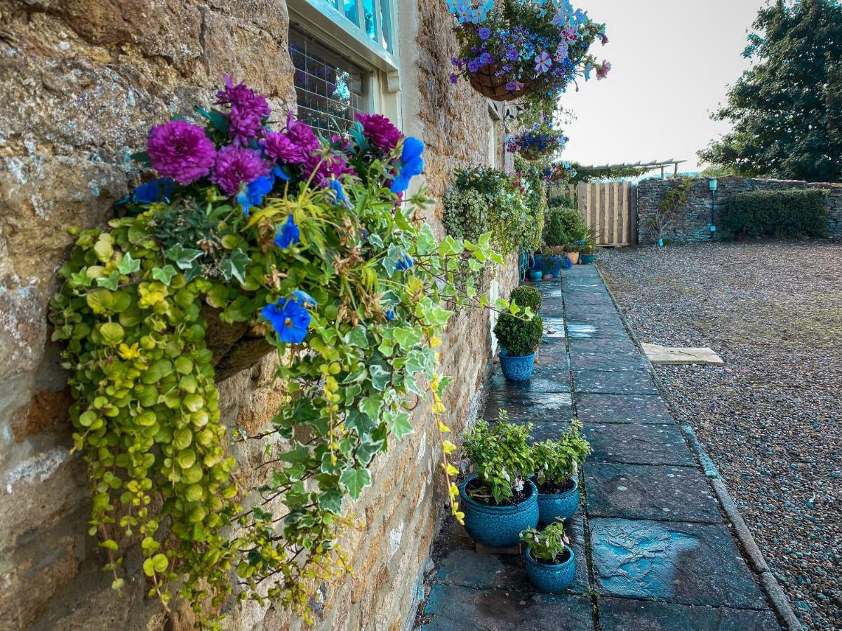 Old Orchard Cottage, Wykeham Scarborough Eksteriør billede