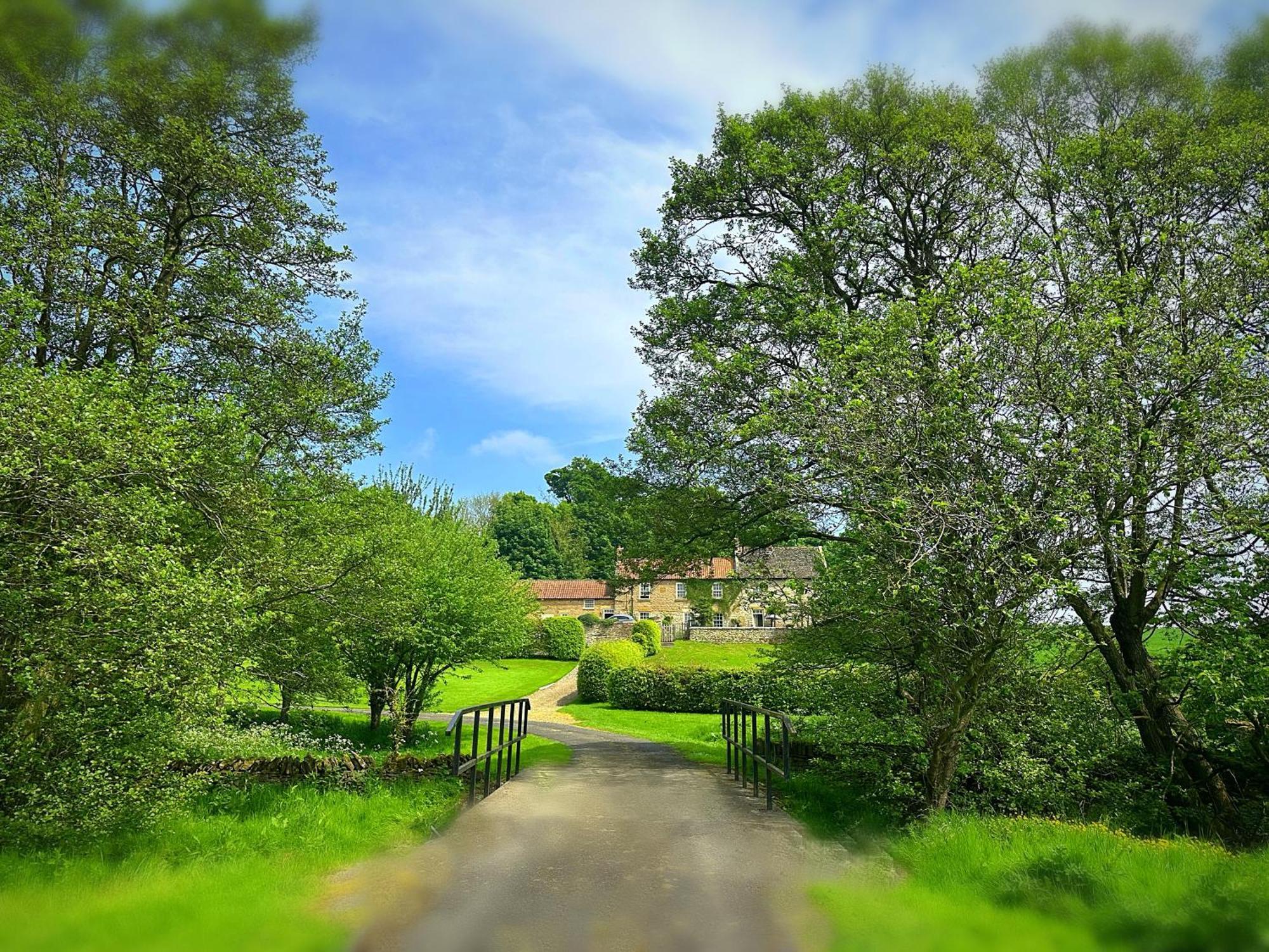 Old Orchard Cottage, Wykeham Scarborough Eksteriør billede